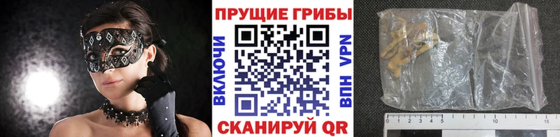 Псилоцибиновые грибы прущие грибы  Купить где  Нерчинск 